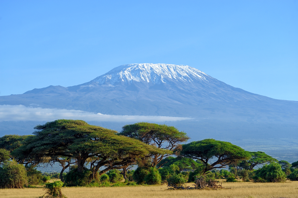 Workington dentist reaches the dizzy heights on honeymoon Kilimanjaro trek