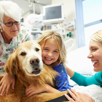 New study highlights the benefits of therapy dogs to reduce dental anxiety