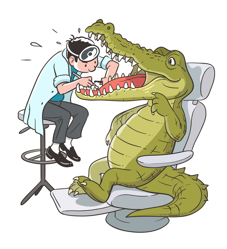 What big teeth you’ve got! Dental nurse embarks on new career as a professional alligator catcher