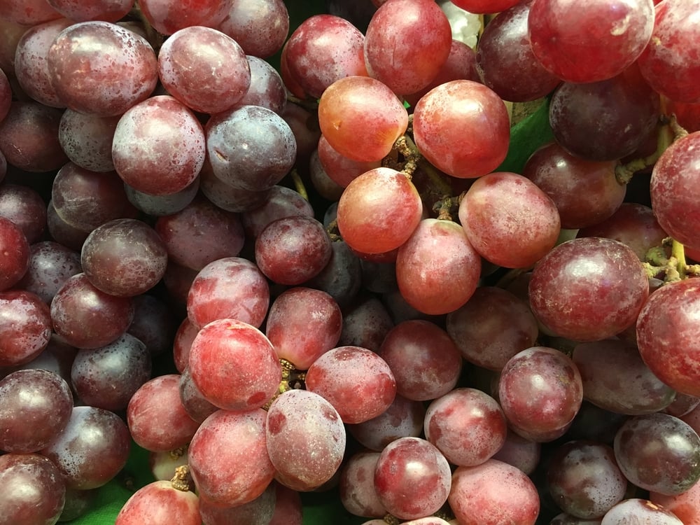 Could eating grapes improve your oral health?