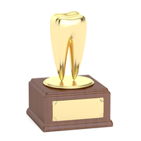 Halesowen dental team celebrates awards success for nervous patient treatment
